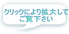 クリックにより拡大して ご覧下さい